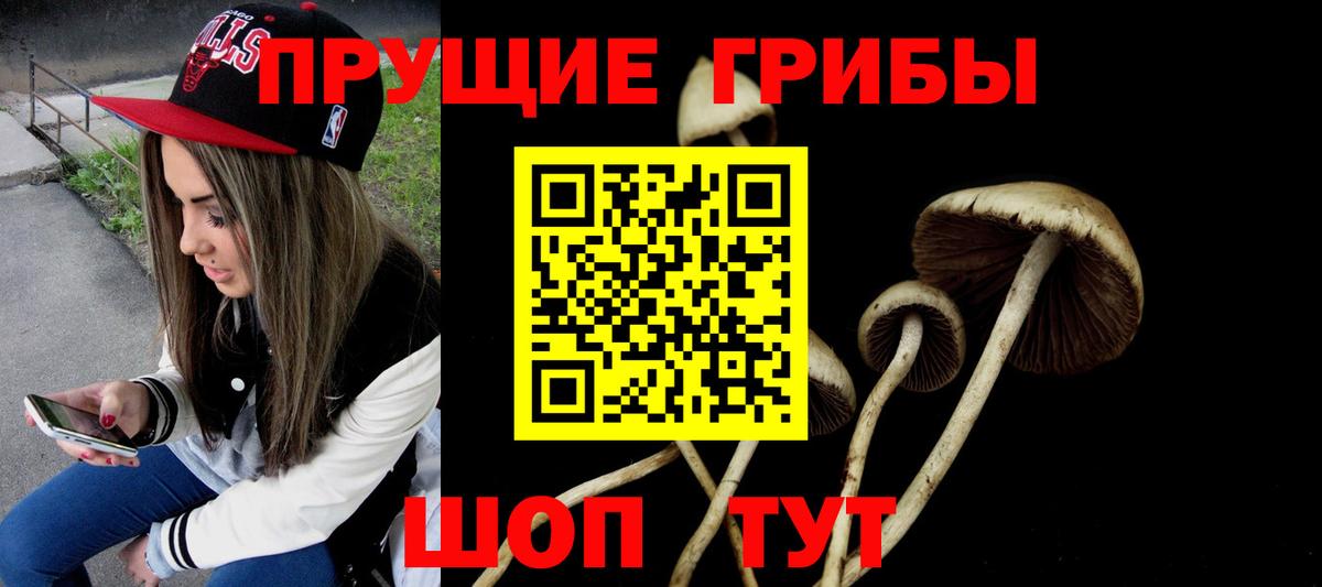 Усолье-Сибирское  Галлюциногенные грибы мицелий  Вход с VPN 